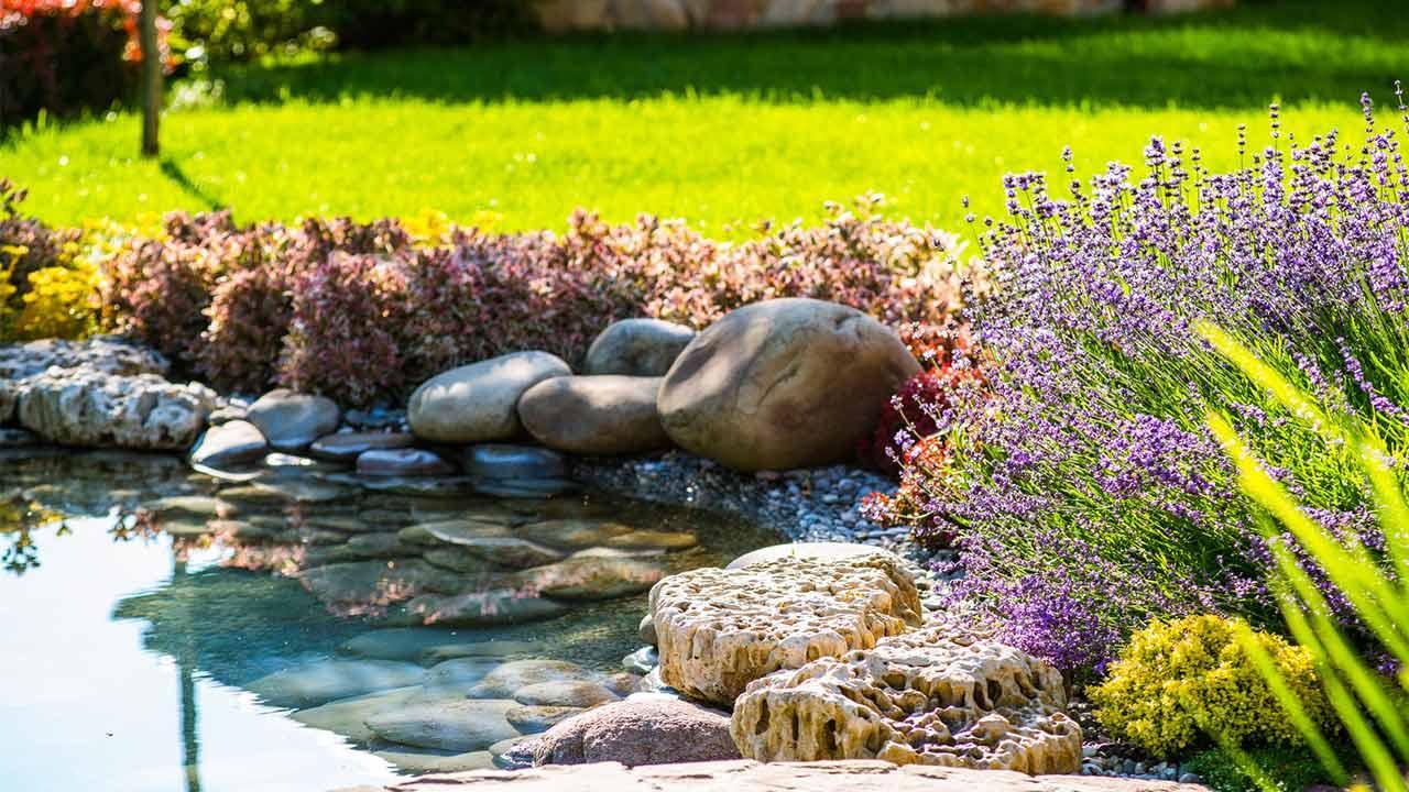 Create waters in your own garden / pond in the garden