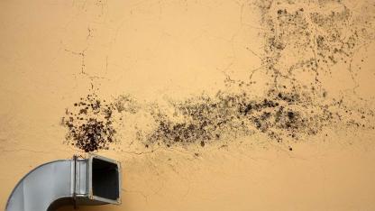 Mould on the wall - What to do - Mould on a ventilation