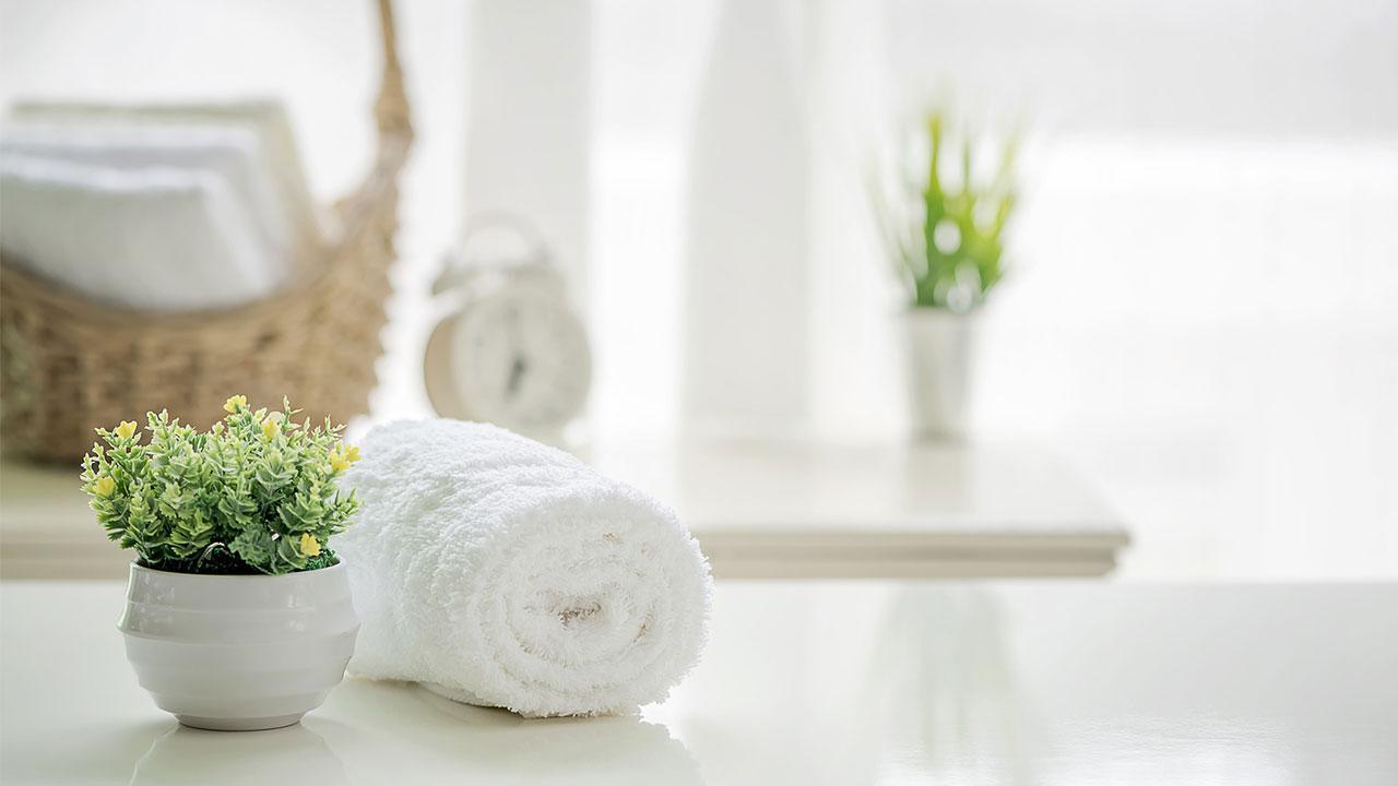 Indoor plants are good for the indoor climate - plants in the bathroom