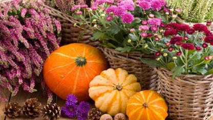 The most beautiful decoration ideas for your garden in autumn - Herbstliche Deko
